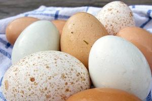 Как да определите свежестта на яйцето: няколко добре познати метода. Как изглежда, ако сварите лошо яйце?